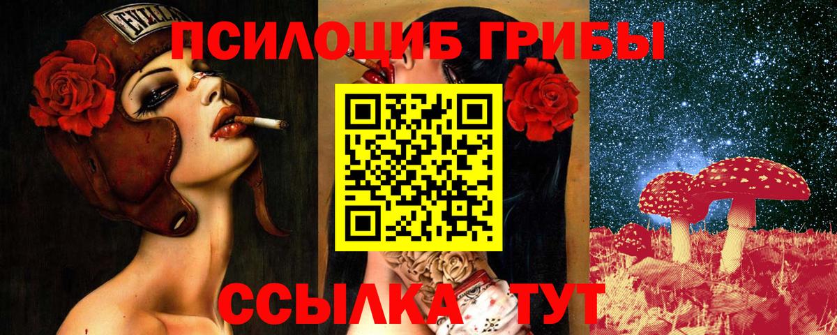 Ульяновск  Псилоцибиновые грибы мицелий  наркошоп  Псилоцибиновые грибы мухоморы  Вход с VPN 