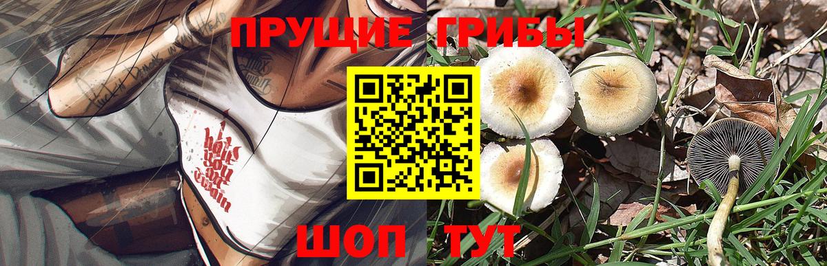 Галлюциногенные грибы прущие грибы Ульяновск